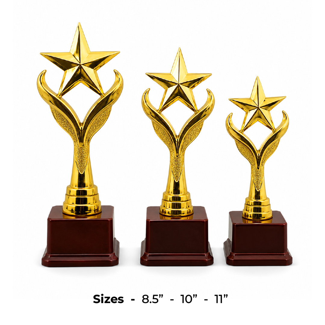 trophy-awards-fb1210fg-8-5-10-11-inches
