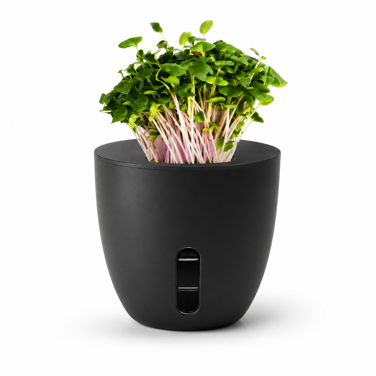everyday-organisers-self-watering-terra-plants