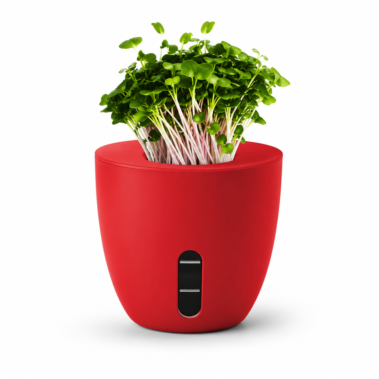 everyday-organisers-self-watering-terra-plants