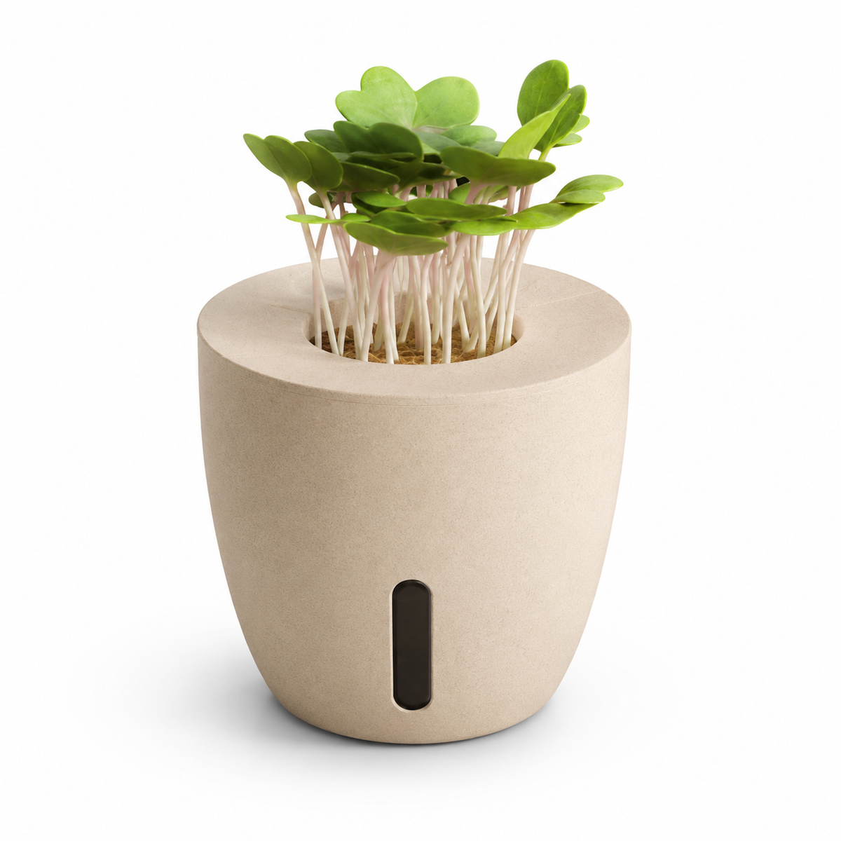 everyday-organisers-self-watering-terra-plants